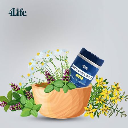 Vitamin 4life transfer factor